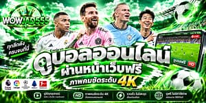 ดูบอลออนไลน์ ผ่านหน้าเว็บฟรี ภาพคมชัดระดับ 4K